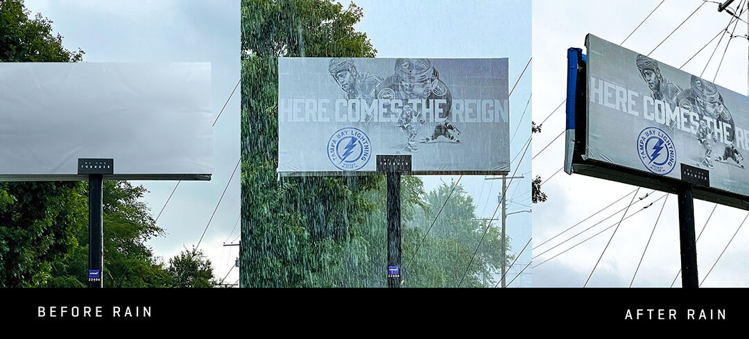 Dunn&Co. Here Comes the Reign