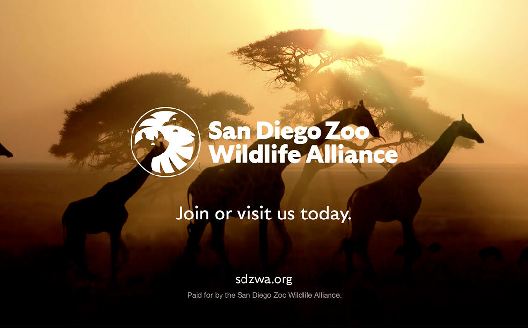 Goodby Silverstein & Partners You Can’t Replace Wildlife