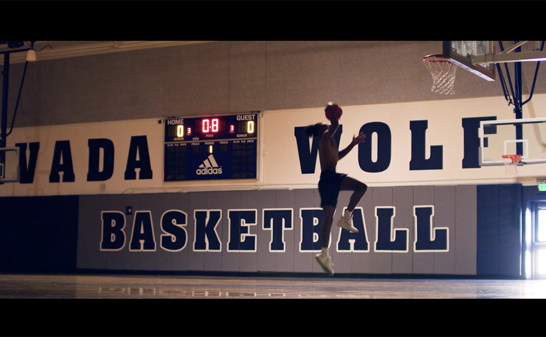 Orangetree Production Studios Wolf Pack Basketball