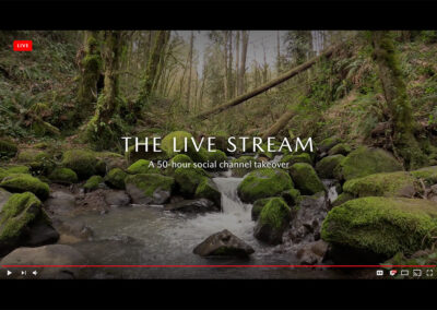 The Live Stream—VMLY&R
